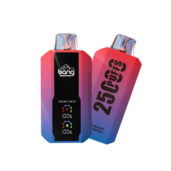 bang 25000-10 bang vape 25000 Puffs 25k E-cigarrillo-10PCS/1 caja