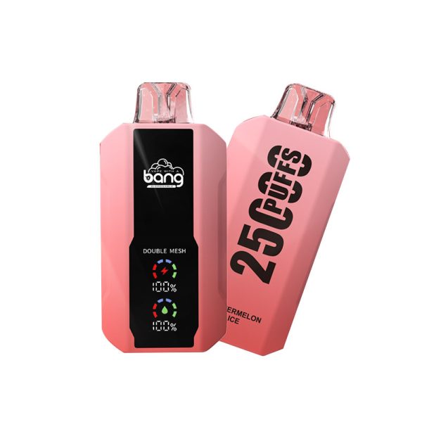 bang 25000-11 bang vape 25000 Puffs 25k E-cigarrillo-10PCS/1 caja
