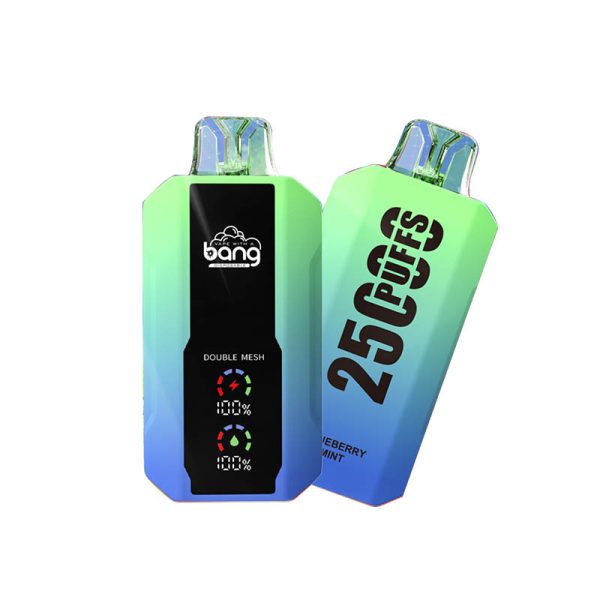 bang 25000-5 bang vape 25000 Puffs 25k E-cigarrillo-10PCS/1 caja
