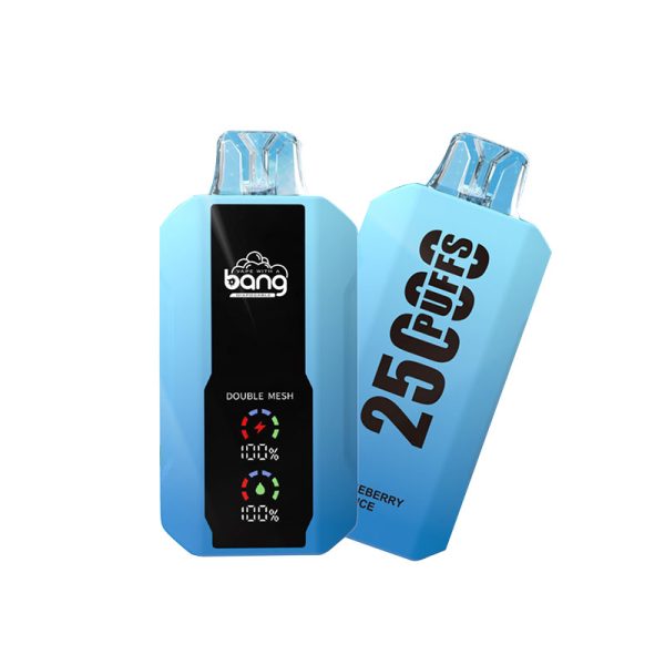 bang 25000-6 bang vape 25000 Puffs 25k E-cigarrillo-10PCS/1 caja