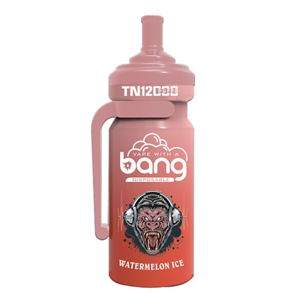 bang NT 12000-7 Vape Bang NT 12000 puff 12K E-cigarrillo-10PCS/1 caja