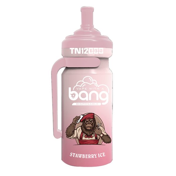 bang NT 12000-9 Vape Bang NT 12000 puff 12K E-cigarrillo-10PCS/1 caja
