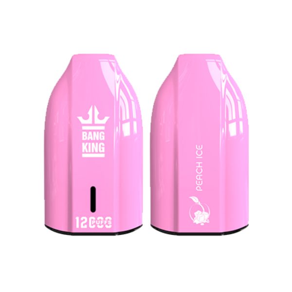 bang king 12000 puff Bang King 12000 | Explorar Bang King Vape 12000