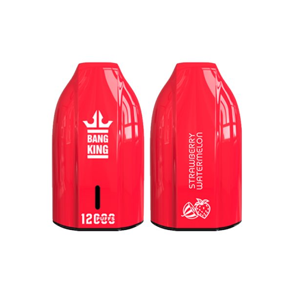 bang king 12000 puff Bang King 12000 | Explorar Bang King Vape 12000