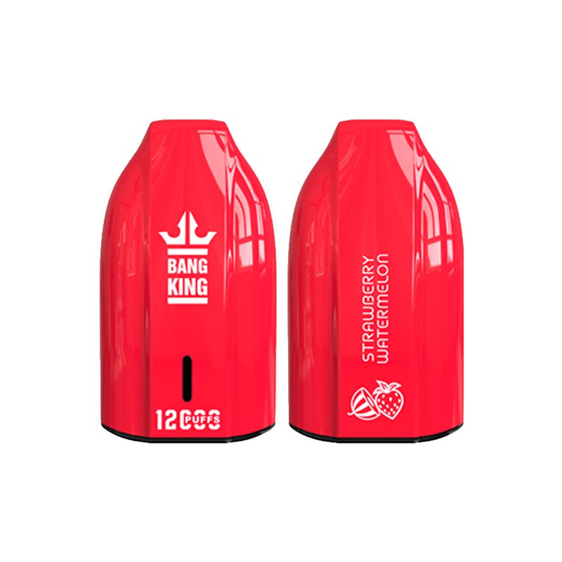 bang king 12000 puff Bang King 12000 | Explorar Bang King Vape 12000