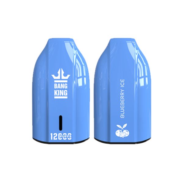 bang king 12000 puff Bang King 12000 | Explorar Bang King Vape 12000