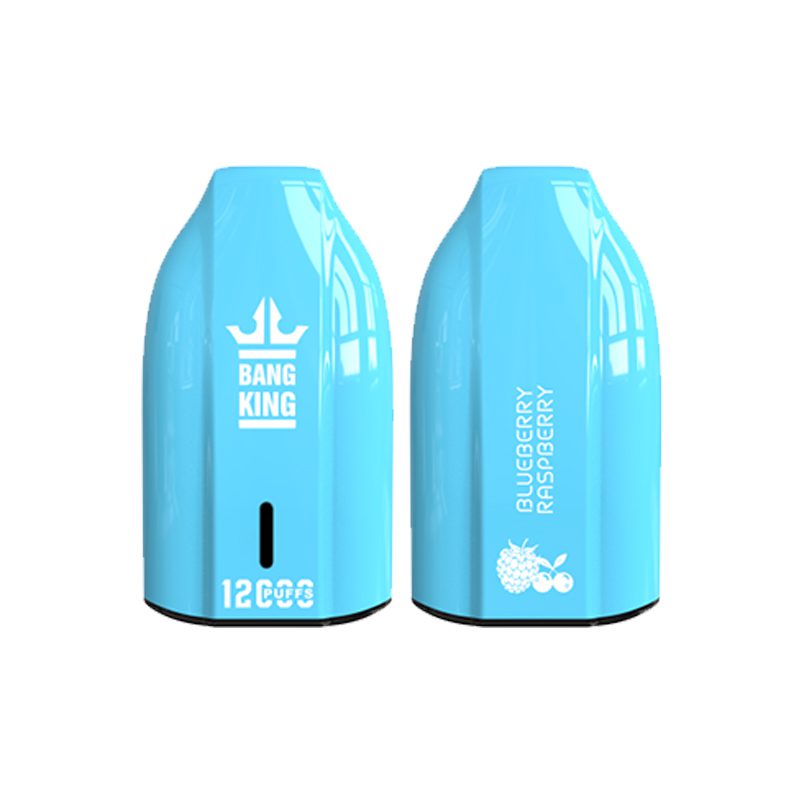 bang king 12000 puff Bang King 12000 | Explorar Bang King Vape 12000
