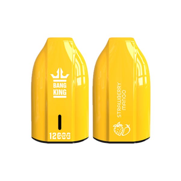 bang king 12000 puff Bang King 12000 | Explorar Bang King Vape 12000