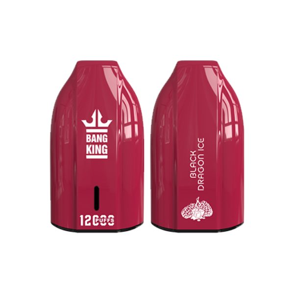 bang king 12000 puff Bang King 12000 | Explorar Bang King Vape 12000