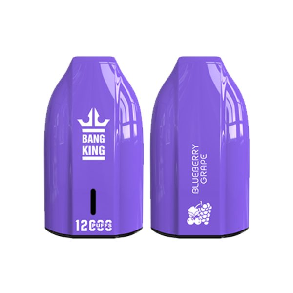 bang king 12000 puff Bang King 12000 | Explorar Bang King Vape 12000