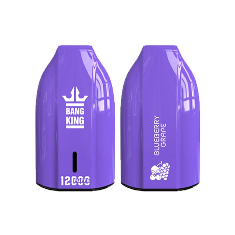 bang king 12000 puff Bang King 12000 | Explorar Bang King Vape 12000