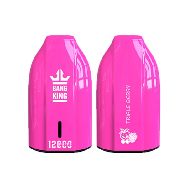 bang king 12000 puff Bang King 12000 | Explorar Bang King Vape 12000