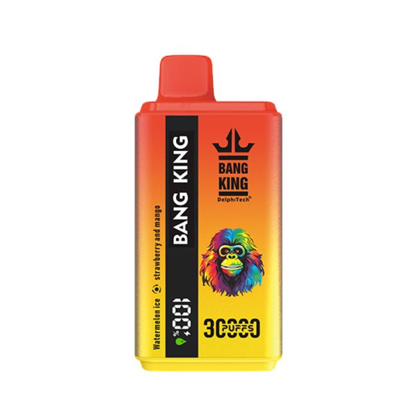 bang king 30K-22 bang king 30k Puffs